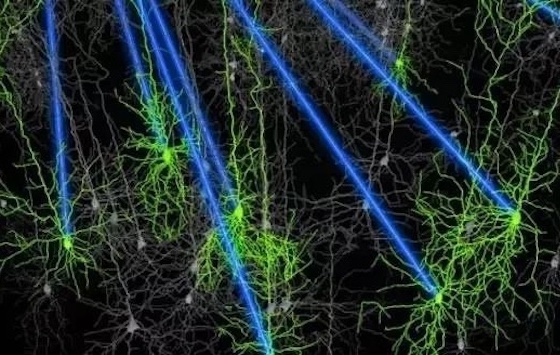 光薬物の開発